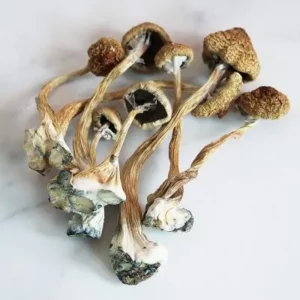 African Aphrodisiac