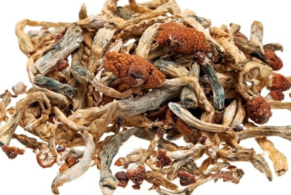 magic mushrooms